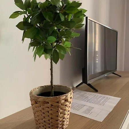 Apartment El Cierron - Con Terrazas!